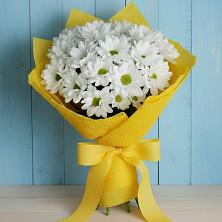 Букет цветов из:  Хризантемы в Ольгинской