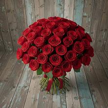 Букет 55 Красных роз Фридом #REPLACE_PRED# Ольгинской