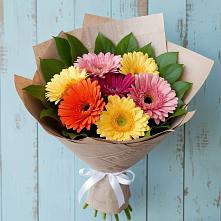 Букет цветов из:  Герберы #REPLACE_PRED# Ольгинской