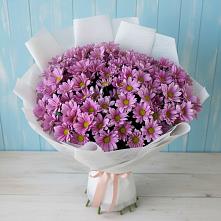 Букет цветов из:  Хризантемы в Ольгинской