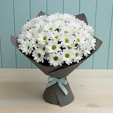 Букет цветов из:  Хризантемы в Ольгинской