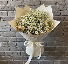 Букет цветов из:  Ромашки #REPLACE_PRED# Ольгинской