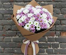 Букет цветов из:  Хризантемы в Ольгинской