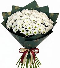 Букет цветов из:  Хризантемы в Ольгинской