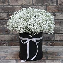 Цветочная композиция из Гипсофила в шляпной коробке в Ольгинской