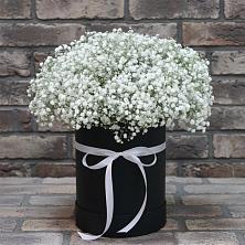 Цветочная композиция из Гипсофила в шляпной коробке в Ольгинской