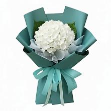 Букет цветов из:  Гортензия в Ольгинской